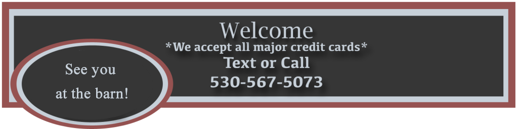 Contact Burks Barn