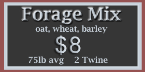 Forage Mix